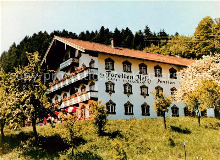 Eisenaerzt Forellenhof Pension Cafe Restaurant