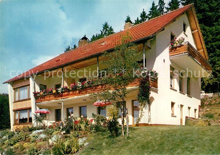 Neuhaus Solling Fohlenplacken Waldcafe Pension Ruebezahl