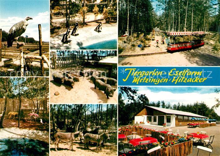 Metzingen Niedersachsen Tiergarten Eselfarm