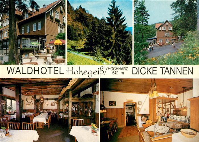 Hohegeiss Harz Waldhotel Dicke Tannen