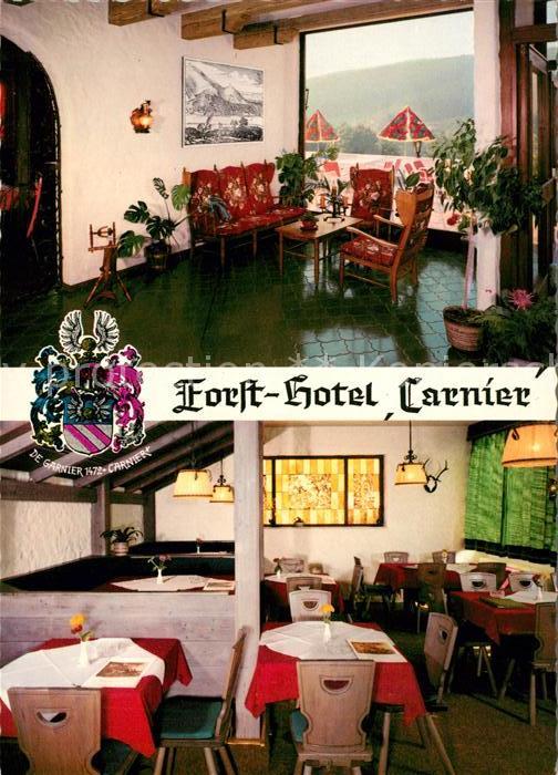 Bad Koenig Odenwald Forst-Hotel Carnier