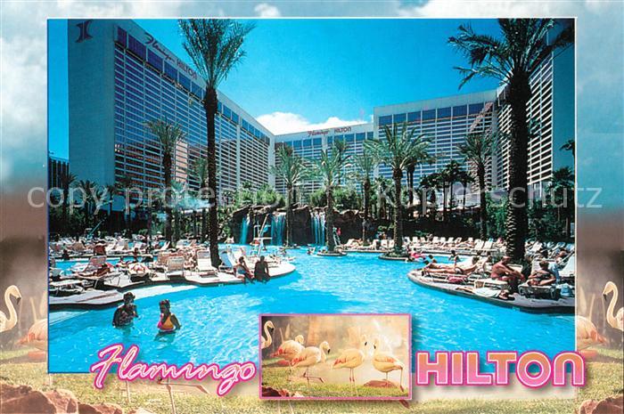 Las Vegas Nevada Flamingo Hilton Swimmingpool