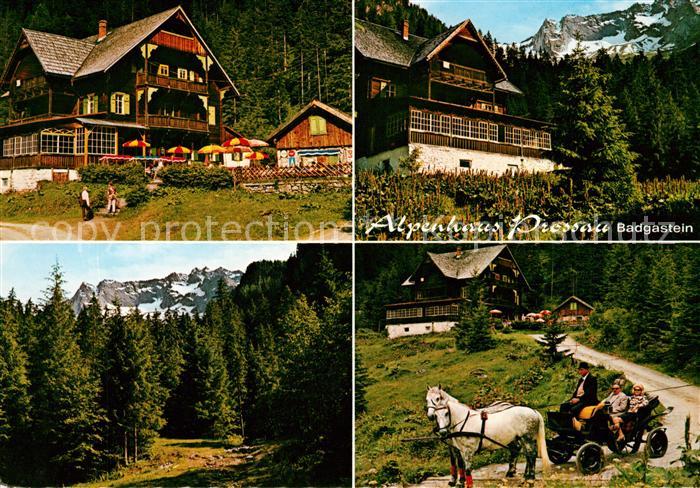 Badgastein Alpenhaus Prossau Pferdekutsche Panorama