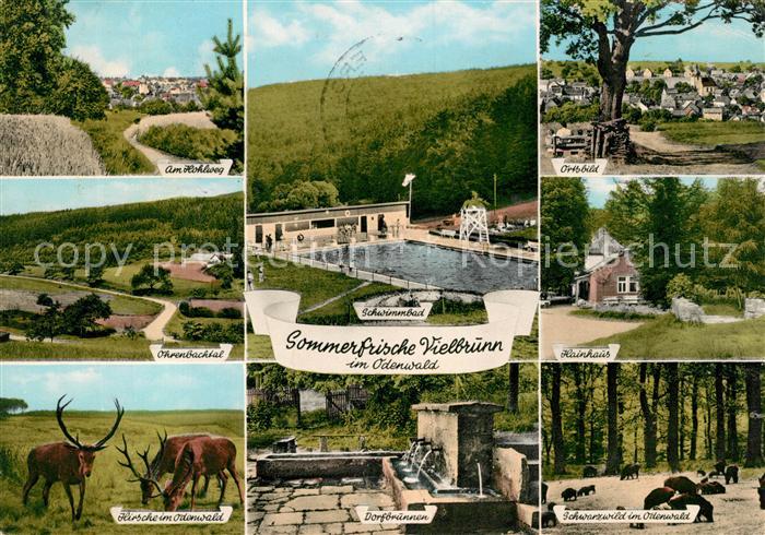 Vielbrunn Heinhaus Hirsche