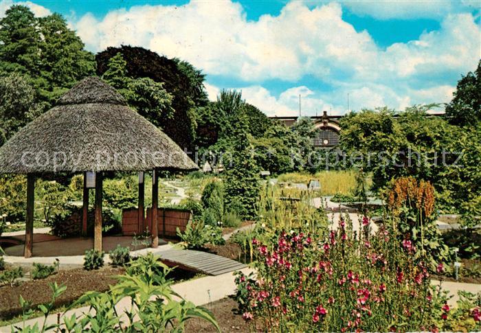 Hamburg Botanischer Garten