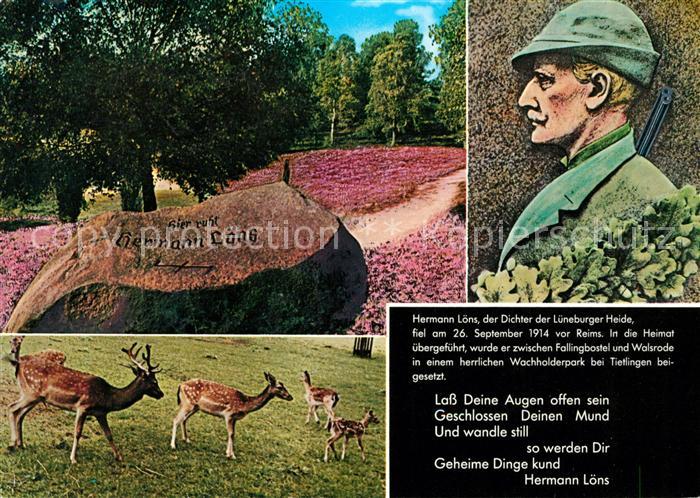 Fallingbostel Hermann Loens Tietlinger Heidegrab