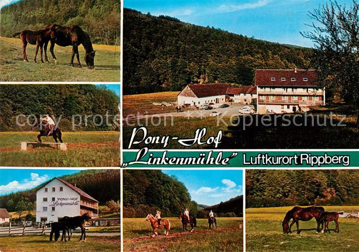 Rippberg Ponyhof Linkenmuehle