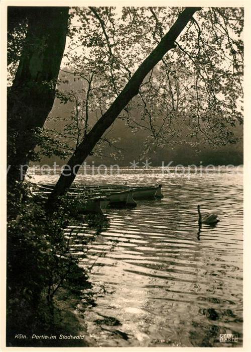 Koeln Rhein Stadtwald See