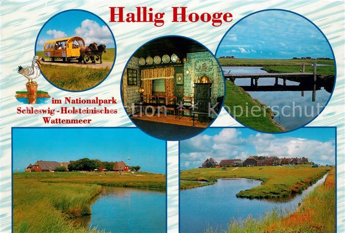 Hallig Hooge Pferdekutsche Wattenmeer