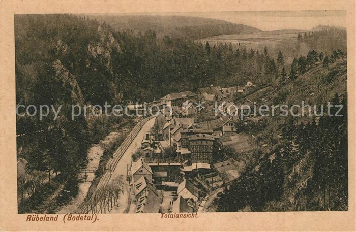 Ruebeland Harz Panorama