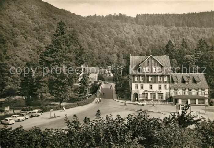 Treseburg Harz Panorama