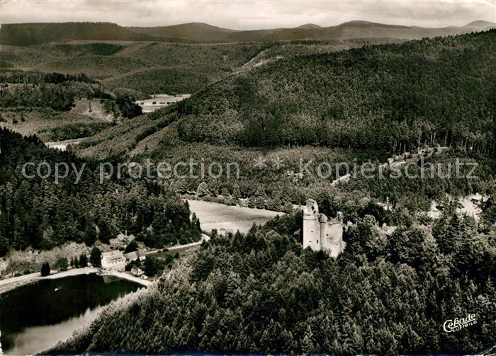 Dahn Fliegeraufnahme Burgruine