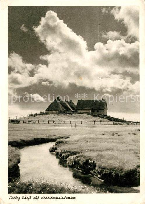 Halligen Nordsee Warft Gehoeft