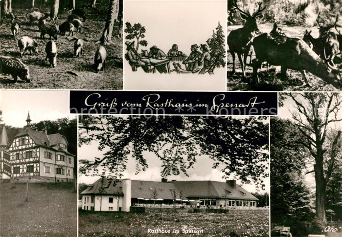 Rohrbrunn Rasthaus im Spessart Wildschweine Hirsche