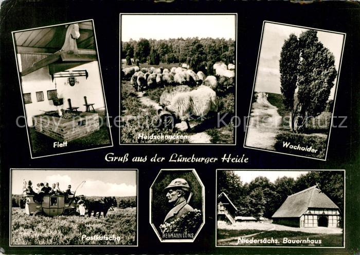 Lueneburger Haide Flett Heidschnucken Wacholder Postkutsche Hermann Loens