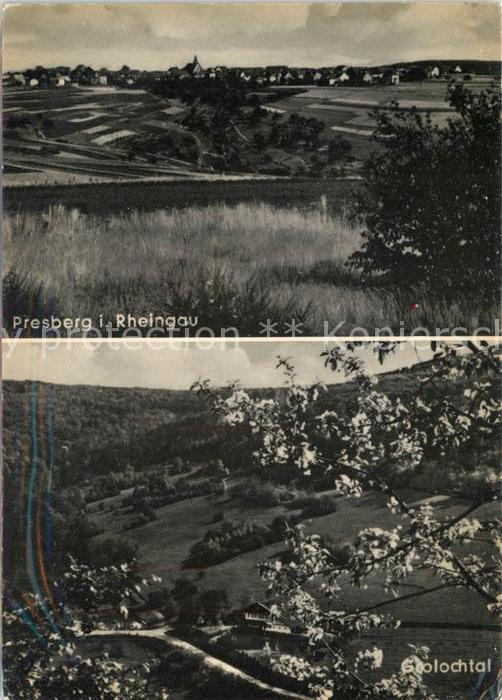 Presberg Rheingau Panorama Pension Haus Grolochblick