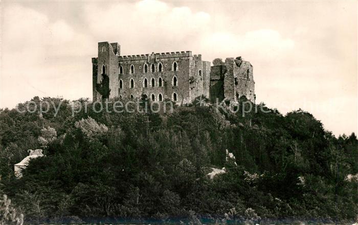 Neustadt Weinstrasse Hambacher Schloss