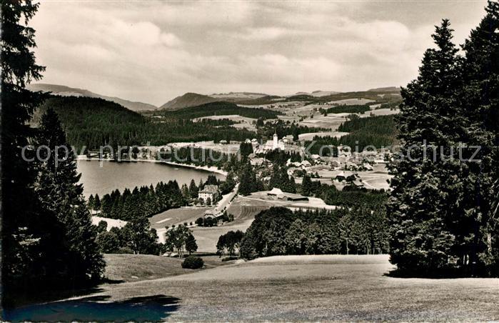 Titisee Panorama
