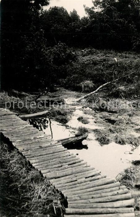Erzgebirge Region Georgenleiter Hochmoos