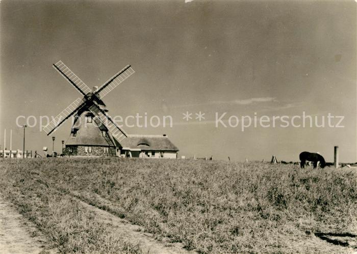 Gross Stieten Gasthaus Mecklenburger Muehle Tierzucht VEG