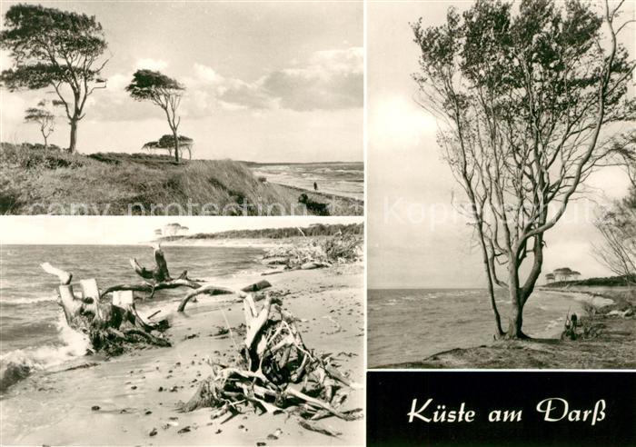 Darss Zingst Strand Kueste
