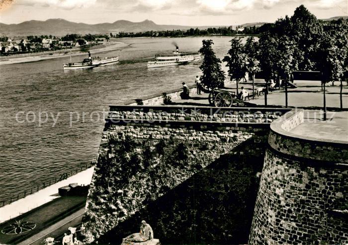 Bonn Rhein Alter Zoll Siebengebirge