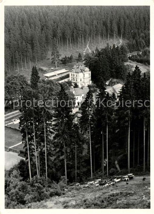 Friedrichroda Cafe Restaurant Waldschloesschen