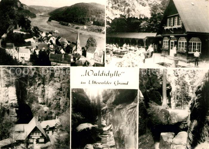 Saechsische Schweiz Waldidylle Uttenwalder Grund