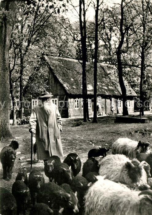 Wilsede Lueneburger Heide Schnuckenschaefer Herde Morgen