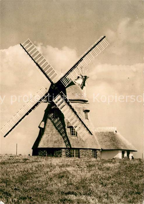 Gross Stieten VEG Tierzucht Windmuehle Restaurant Mecklenburger-Muehle