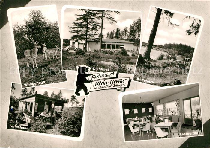 Clausthal-Zellerfeld Feriendorf Klein-Berlin Wild