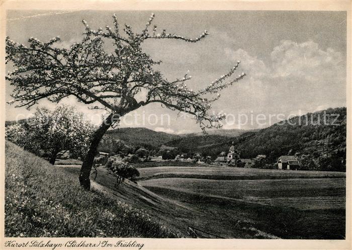 Suelzhayn Suedharz im Fruehling