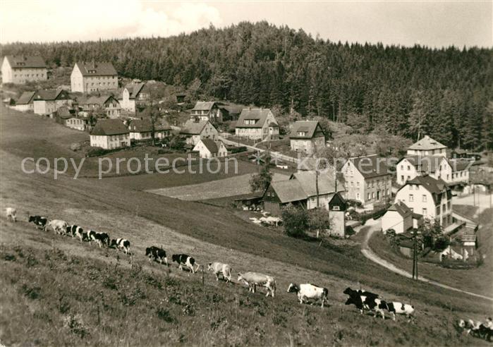 Baerenstein Annaberg-Buchholz Kuehberg