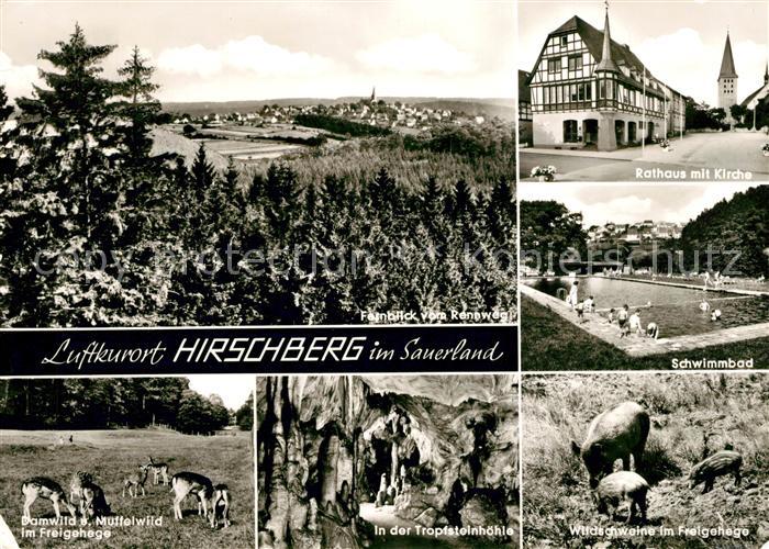 Hirschberg Warstein Rathaus Schwimmbad Tropfsteinhoehle Wild