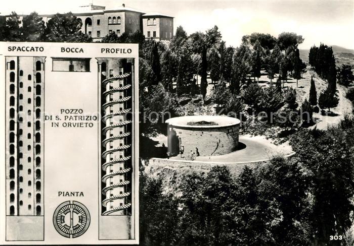 San Patricio Pianta Spaccato Bocca