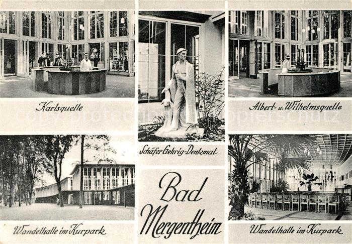 Bad Mergentheim Karlsquelle Schaefer-Gehrig-Denkmal Wandelhalle Kurpark