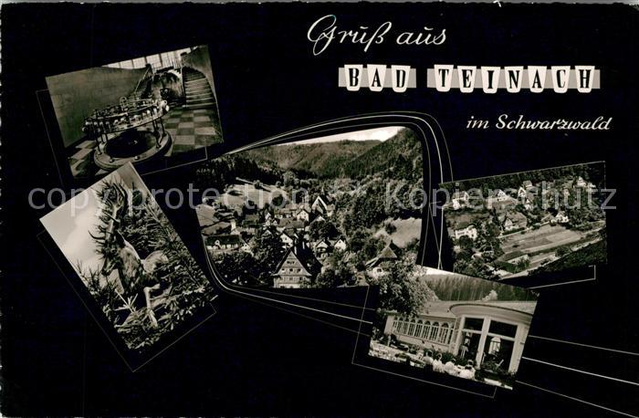 Teinach-Zavelstein Bad Panorama Kurhalle