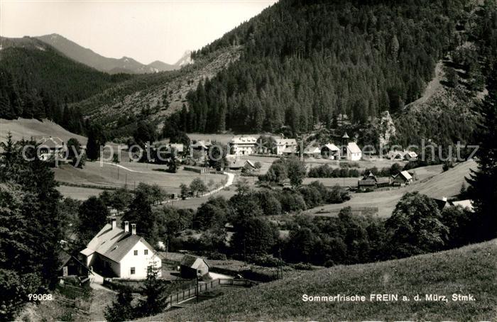 Frein an der Muerz Ortsansicht