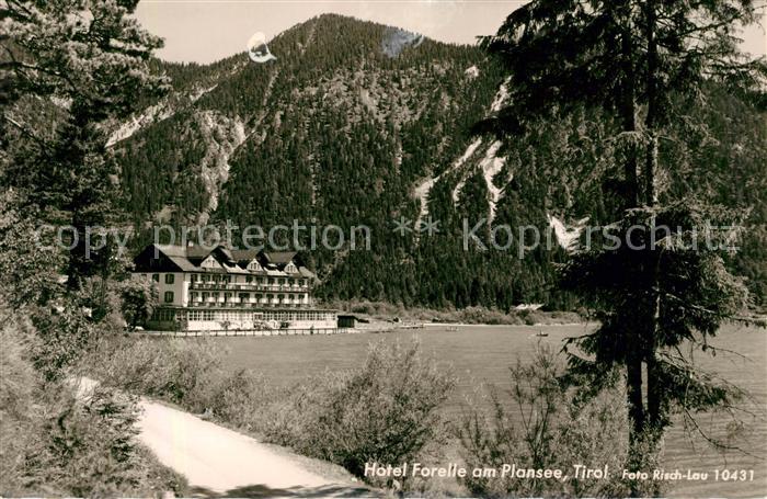 Plansee Hotel Forelle