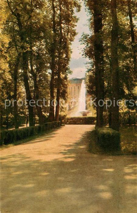 Petrodvorets St Petersburg Alley in the park In the distance Great Fountain
