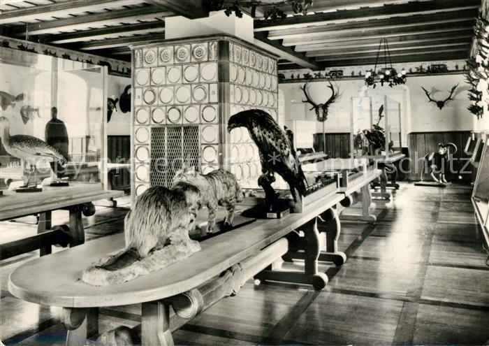 DRESDEN Elbe Techn Universitaet Jagdkundliche Lehrschaft Grillenburg Jagdsaal