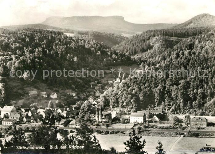Bad Schandau Blick auf Krippen
