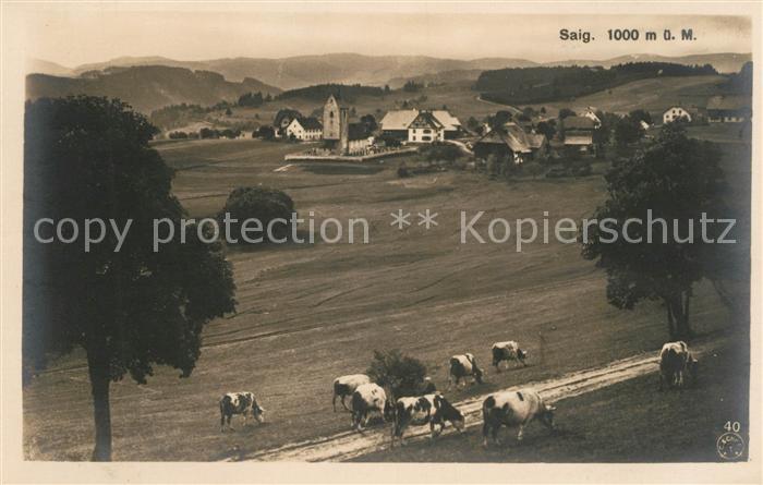 Saig Schwarzwald Panorama
