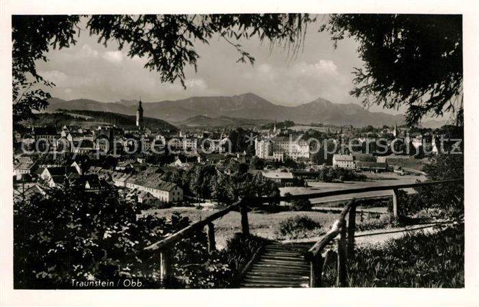 Traunstein Oberbayern Panorama