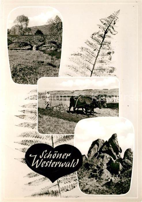 Westerwald Region Panorama