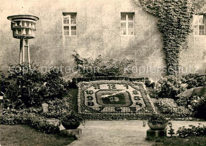 Zittau Blumenuhr Glockenspiel
