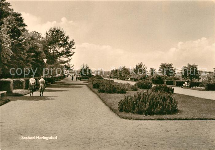 Heringsdorf Ostseebad Usedom Parkanlage
