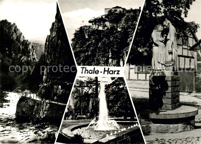 Thale Harz Waldkater Hexentanzplatz Klubhauspark