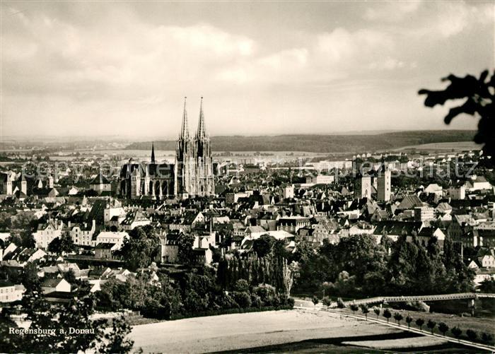 REGENSBURG Bayern Dom Panorama