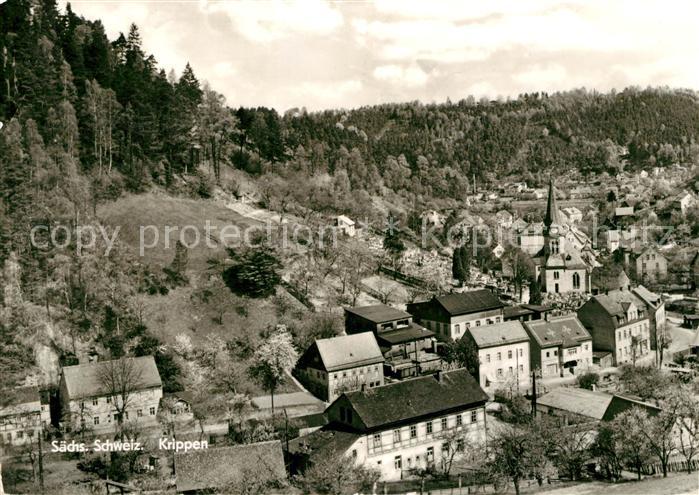 Krippen Bad Schandau Panorama